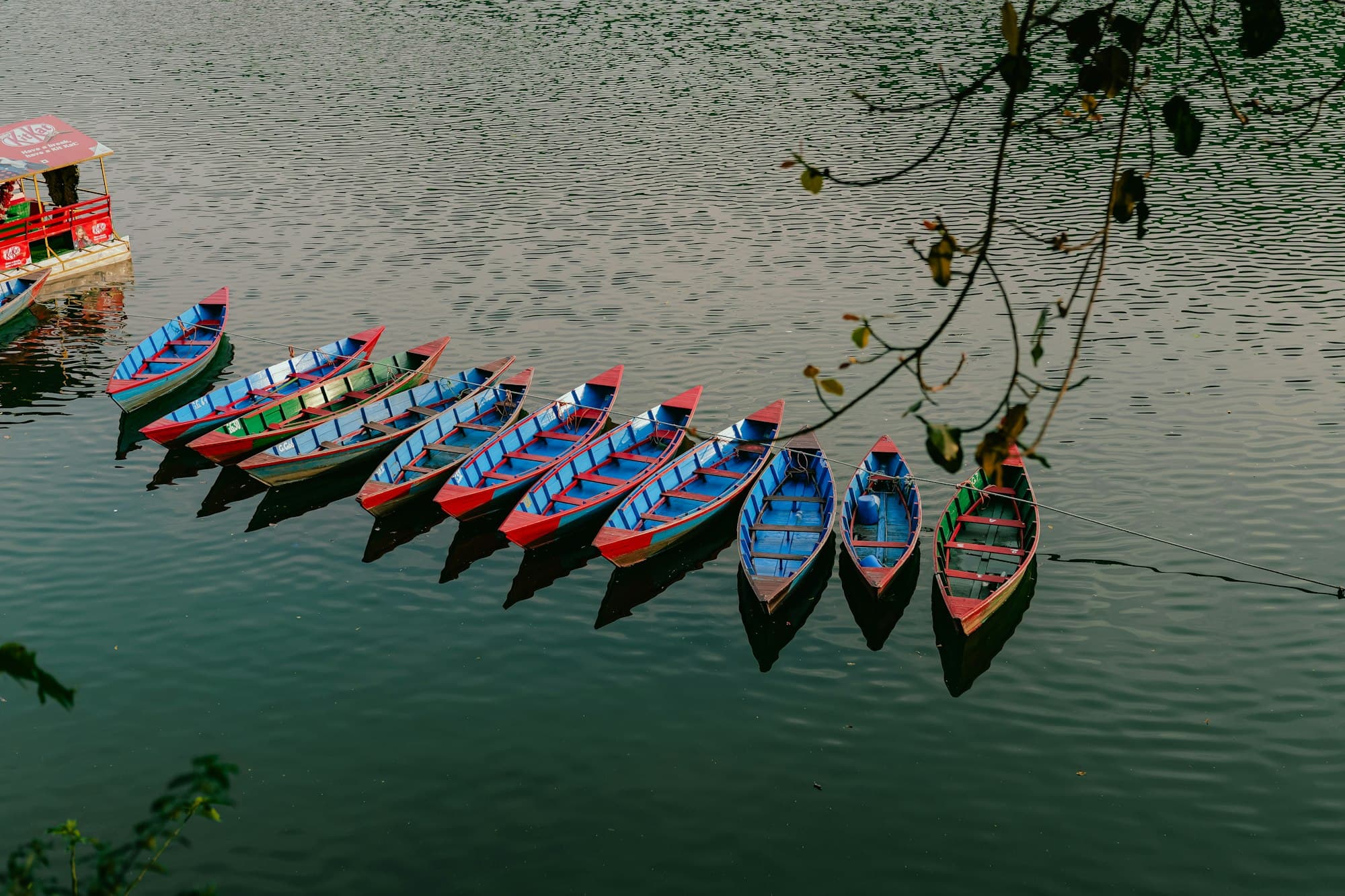 A row of colourful wooden doonga boats on Phewa Lake